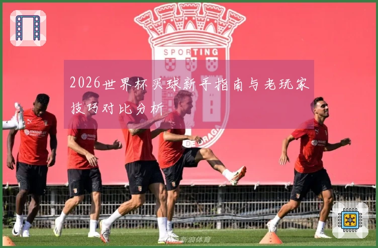 2026世界杯买球新手指南与老玩家技巧对比分析