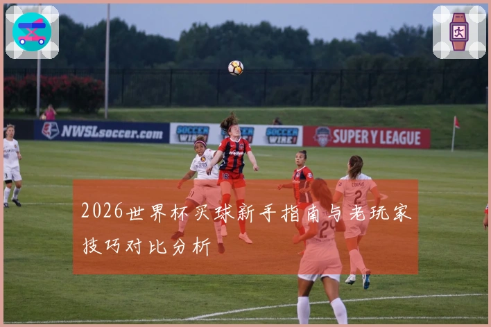 2026世界杯买球新手指南与老玩家技巧对比分析