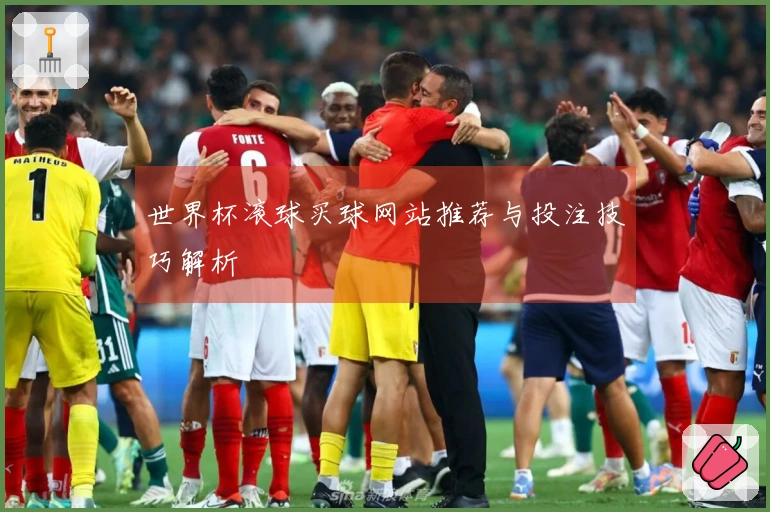世界杯滚球买球网站推荐与投注技巧解析