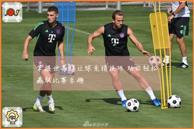 掌握世界杯让球竞猜技巧 助你轻松赢取比赛乐趣