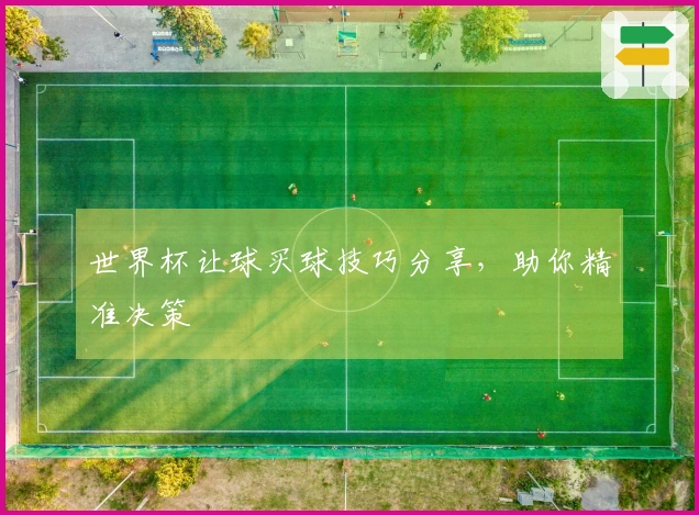 世界杯让球买球技巧分享，助你精准决策