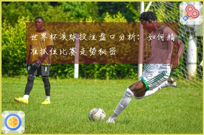 世界杯滚球投注盘口分析：如何精准抓住比赛走势秘密