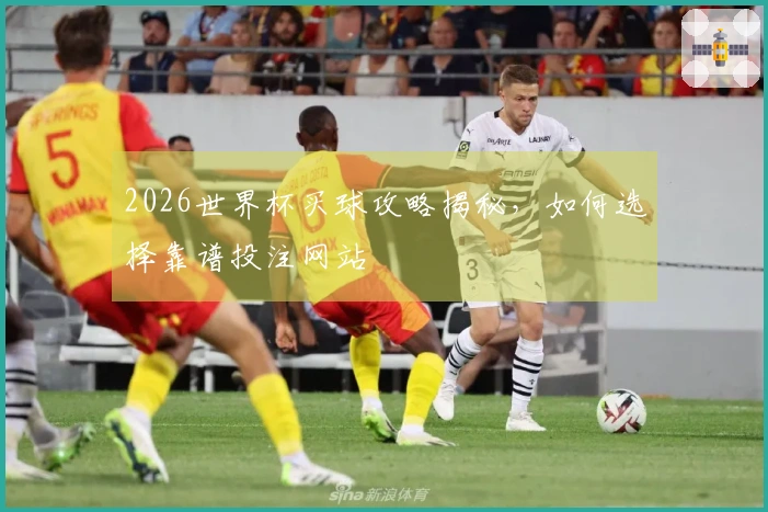 2026世界杯买球攻略揭秘,如何选择靠谱投注网站