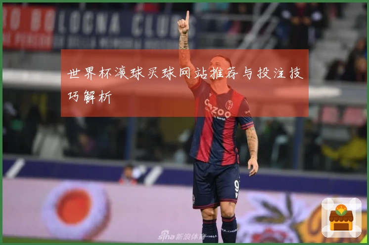 世界杯滚球买球网站推荐与投注技巧解析