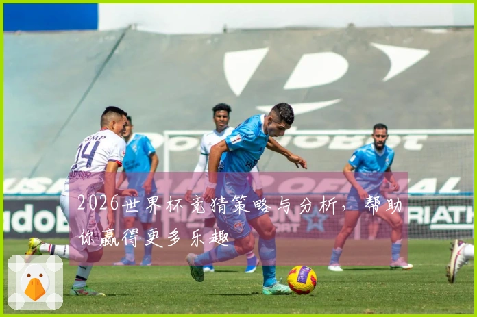 2026世界杯竞猜策略与分析，帮助你赢得更多乐趣