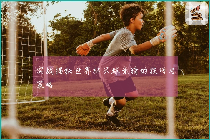 实战揭秘世界杯买球竞猜的技巧与策略