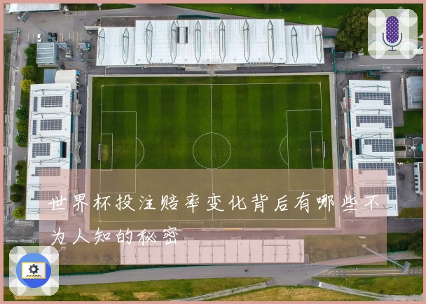世界杯投注赔率变化背后有哪些不为人知的秘密