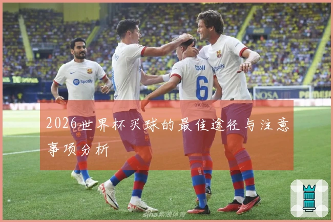 2026世界杯买球的最佳途径与注意事项分析