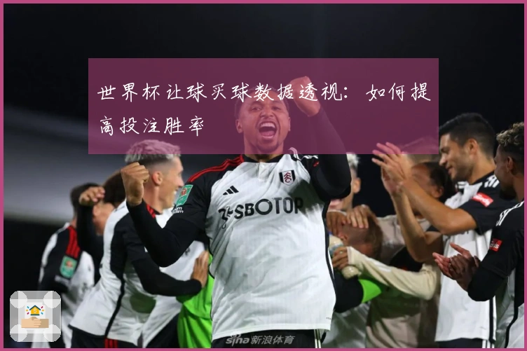 世界杯让球买球数据透视：如何提高投注胜率