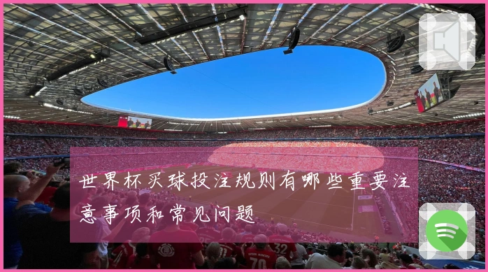 世界杯买球投注规则有哪些重要注意事项和常见问题