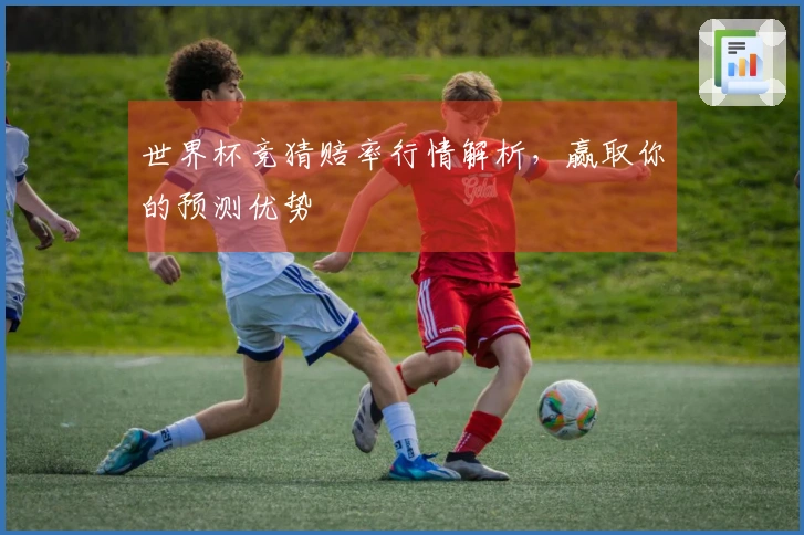 世界杯竞猜赔率行情解析，赢取你的预测优势