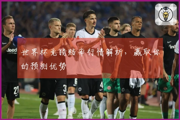 世界杯竞猜赔率行情解析，赢取你的预测优势