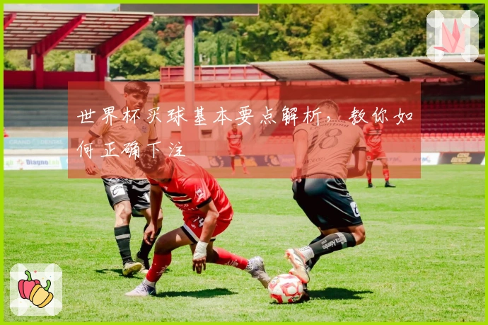 世界杯买球基本要点解析，教你如何正确下注