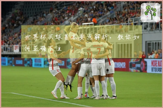 世界杯买球基本要点解析，教你如何正确下注