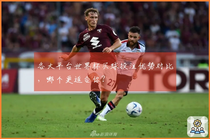各大平台世界杯买球投注优势对比,哪个更适合你?