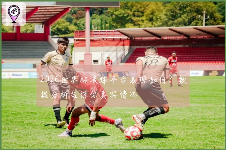 2026世界杯滚球平台表现如何？数据分析告诉你真实情况