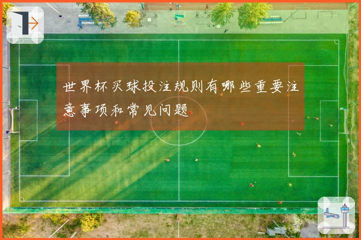 世界杯买球投注规则有哪些重要注意事项和常见问题