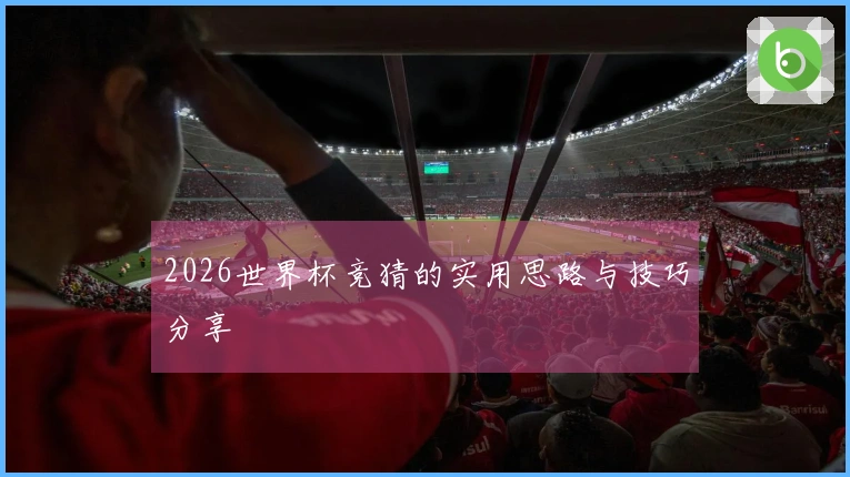 2026世界杯竞猜的实用思路与技巧分享